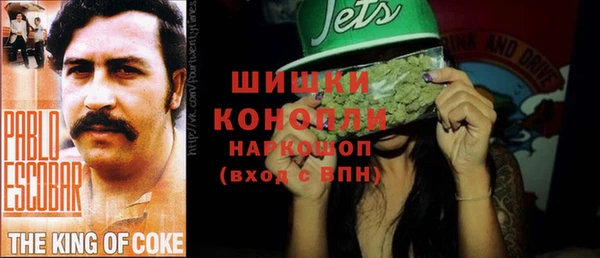 дживик Нягань