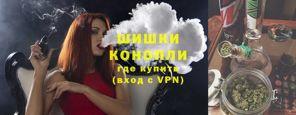 амф Няндома