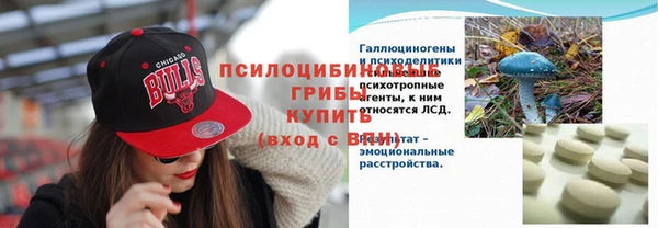дживик Нягань