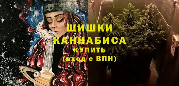 дживик Нягань
