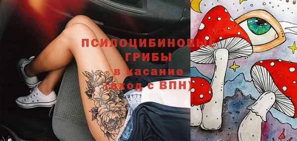 дживик Нягань