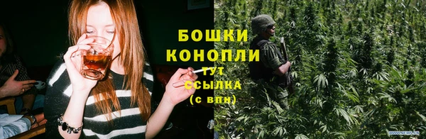 амф Няндома