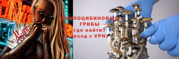 амф Няндома