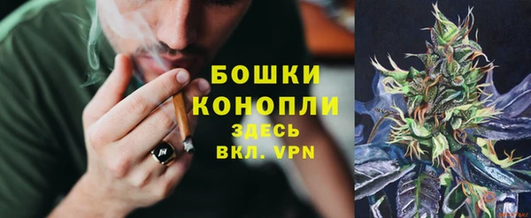 амф Няндома