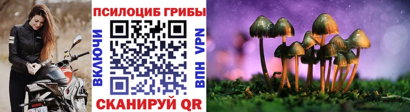 Галлюциногенные грибы прущие грибы Сясьстрой